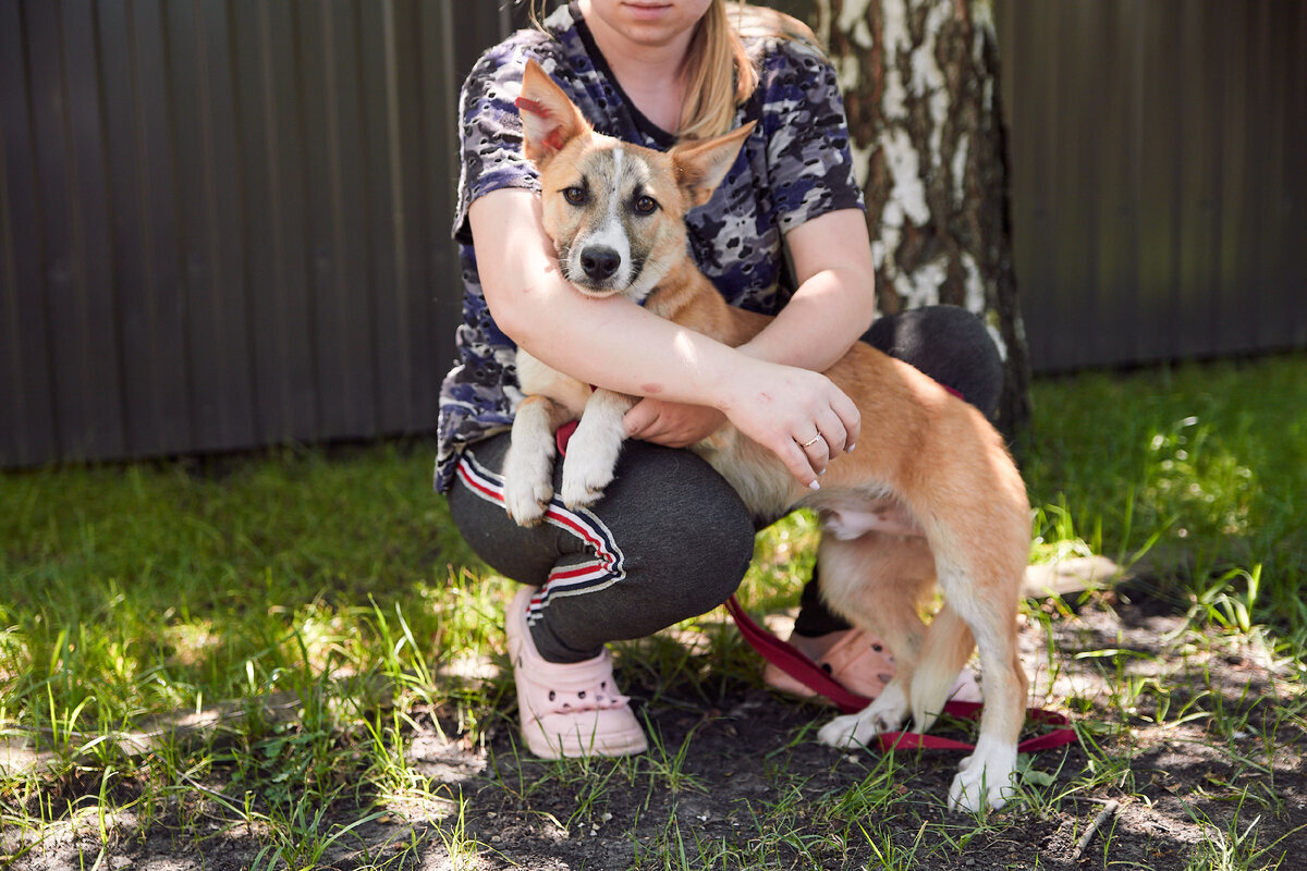 Панда картина. Где девочка превращается в панду. Кунг фу панда. Где девочка превращается в панду. Панда арт.