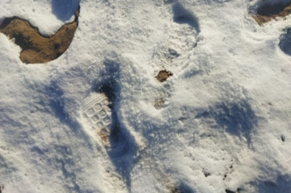    Двух замерзающих малышей нашли на улице в селе Турунтаево в Бурятии.