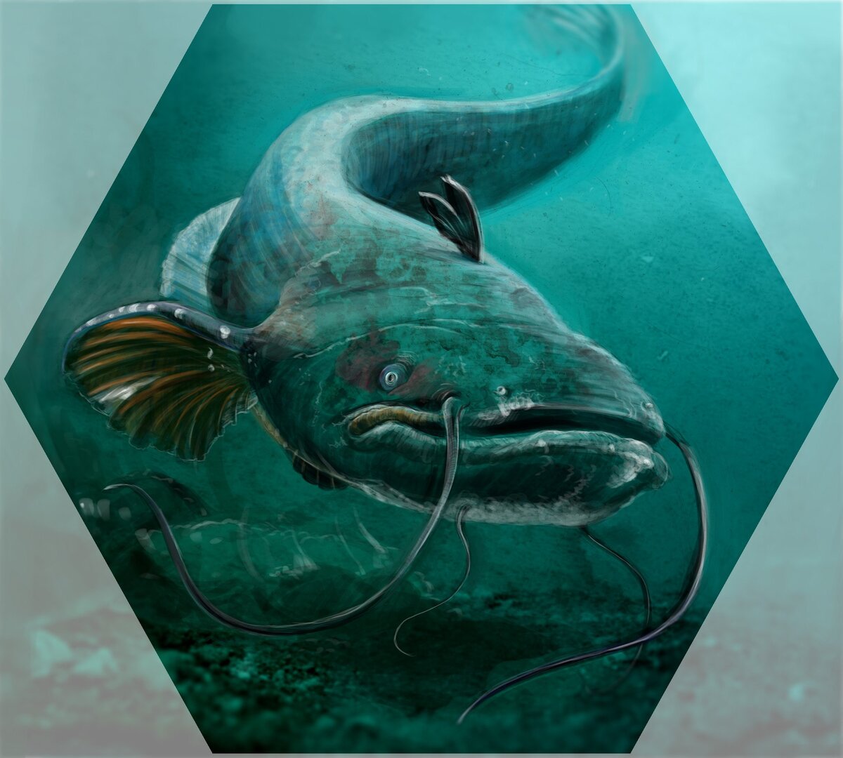 Фото с просторов интернета 