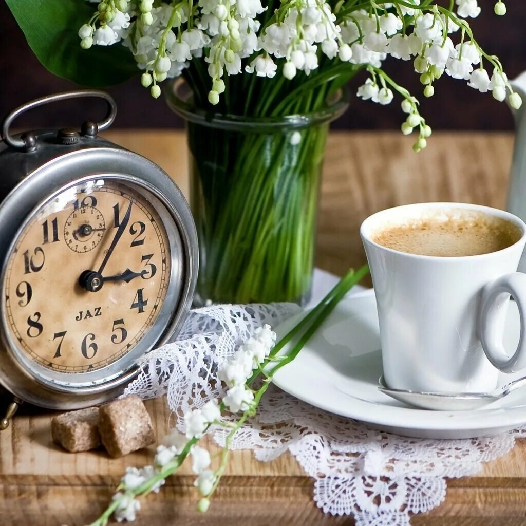 утро снег. мимоза на снегу. доброе морозное утро. зимний рассвет. морозное утро.