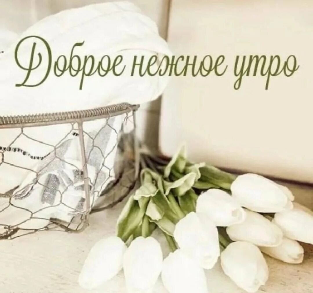 Нежное утро