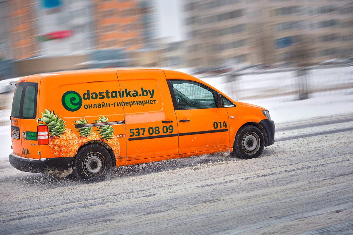    Фото: Tricky_Shark / Shutterstock.com