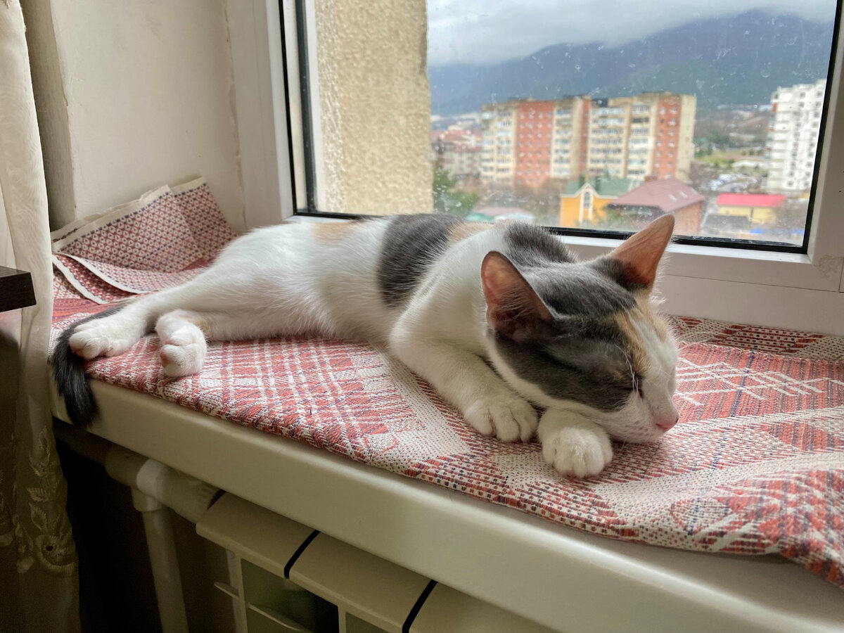 Спит маленькая зайка