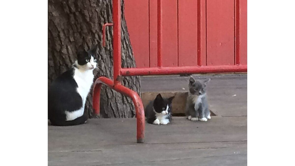 имена для девочек. имена 2017 году. популярные женские имена. красивые имена для жевоче. красивыеbvtyf для мальчиков.