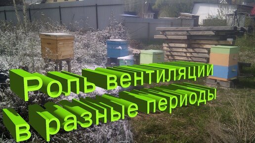 Профессор Кашковский: Роль вентиляции ульев в разные периоды жизни пчелы