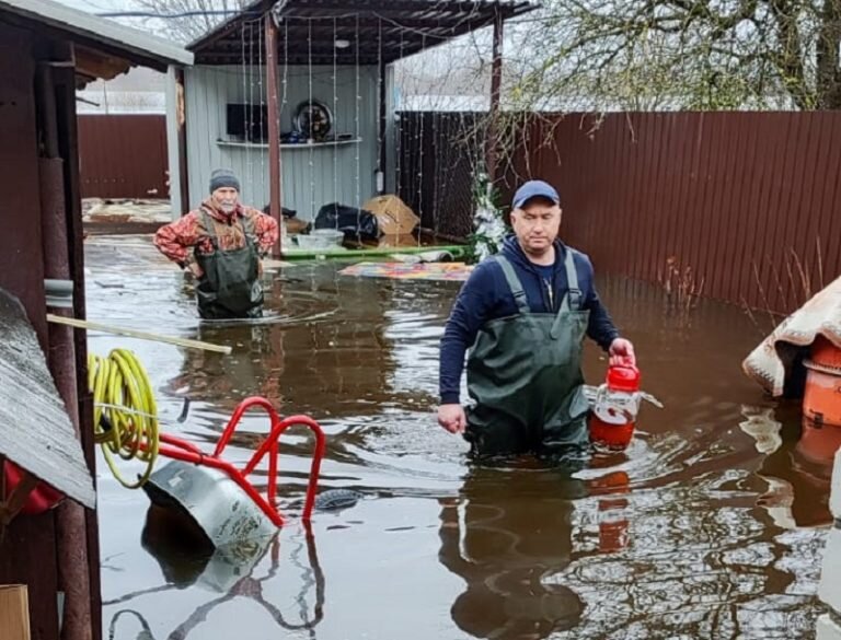 Паводок брянск