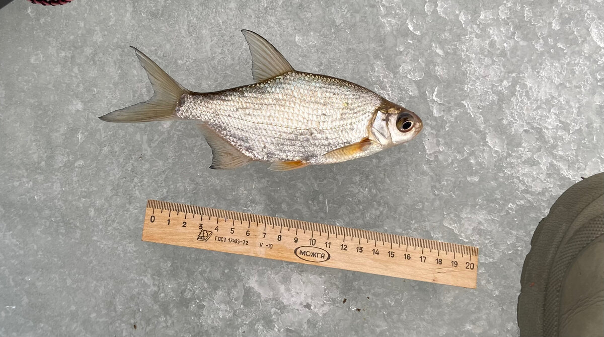 Фото тематическое