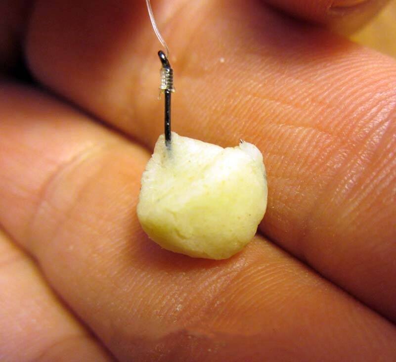 На крючок насаживают болтушку из манки