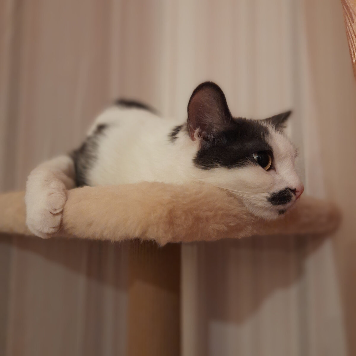 Моняша и думы))