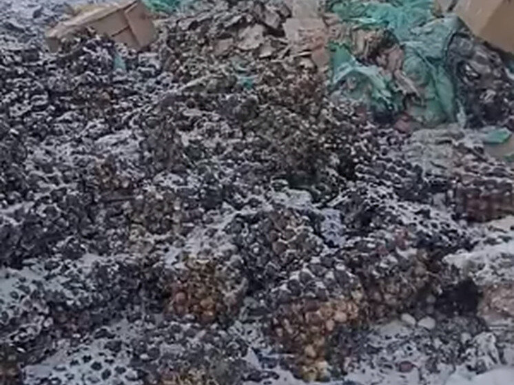 парни знакомятся с мужчинами. красивые мужчины город ачинск. парни омск. мужчины город омск. мужчины город омск.