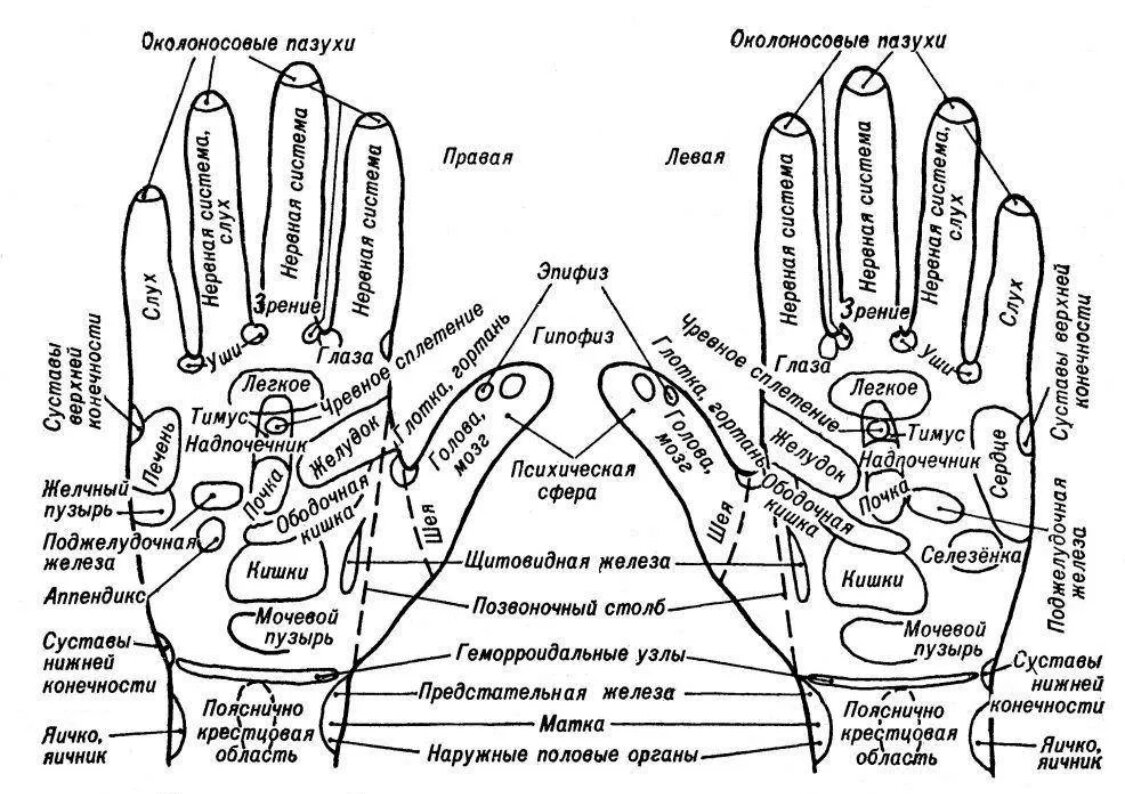 Какие точки массировать на руке. Акупунктура на ладони точки органов. Массаж кистей рук, точки воздействиям. Акупунктурные точки на пальцах рук. Точки акупунктуры на тыльной стороне ладони.