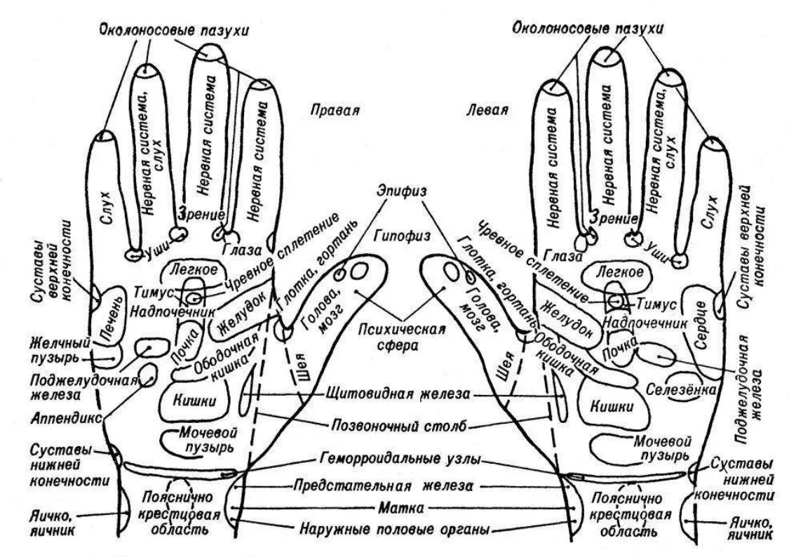Зоны рук. Акупунктура на ладони точки органов. Массаж кистей рук, точки воздействиям. Акупунктурные точки на пальцах рук. Точки акупунктуры на тыльной стороне ладони.