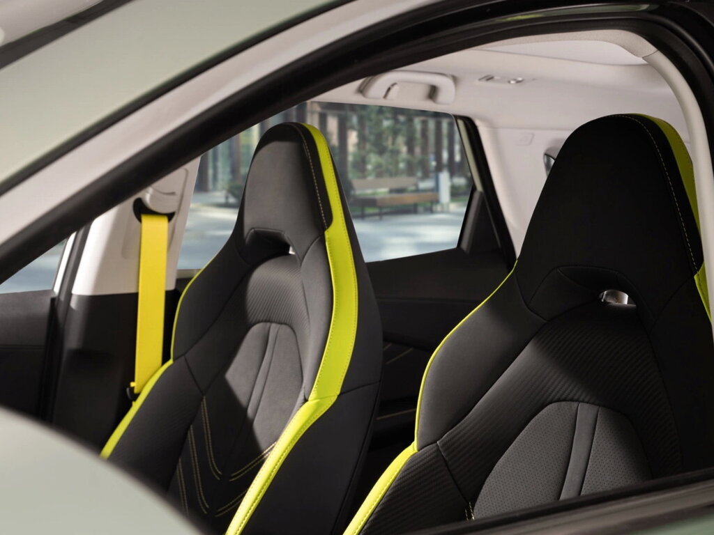 Богемская роща сатанисты. Национальный парк редвуд штат калифорния. Ветки секвойи. Редвуд национальный парк символ парка. Хамболд редвудс парк.