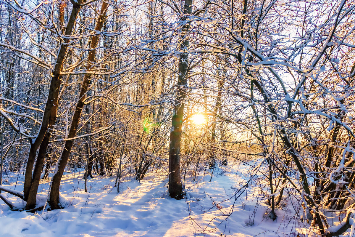 середина зимы картинки