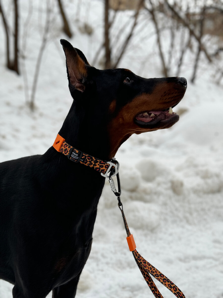 Каждый прохожий делает комплименты