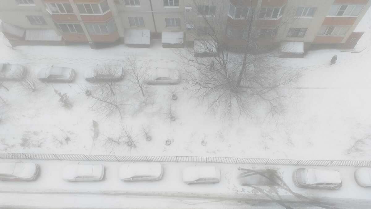 дом не выпускает их. снехетта норвегия здания. Snohetta viewpoint норвегия. дом не выпускает их. Braun house (браун хаус).