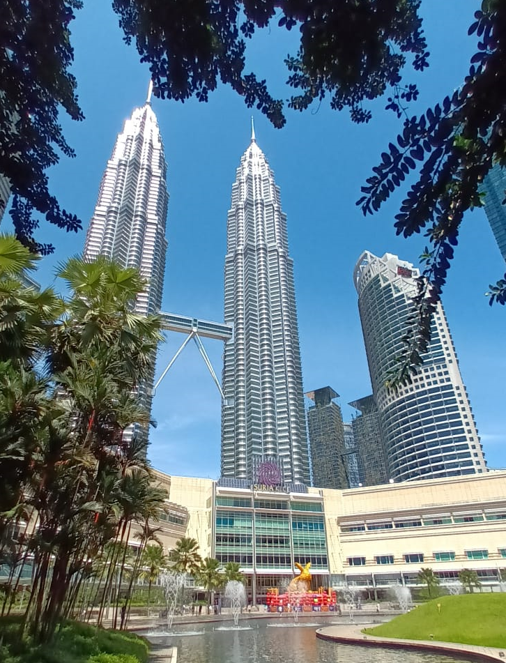 Карта распространения языков мира. Есть много стран отличающихся обилием языков. Чем отличается государство от страны. Карта распространения русского языка в мире. Карта языков мира.