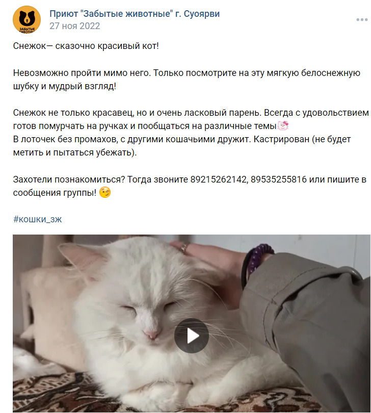 Из группы ВК приюта «Забытые животные»