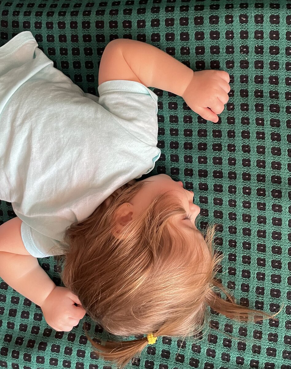 Рыжик спит)