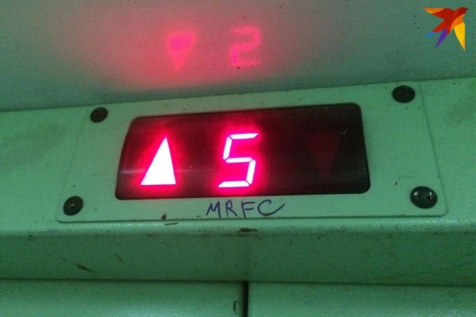 волк терпит. иди ты мне больше не нужна. пошло все цитаты. собака крадется. любви нет идите спать.