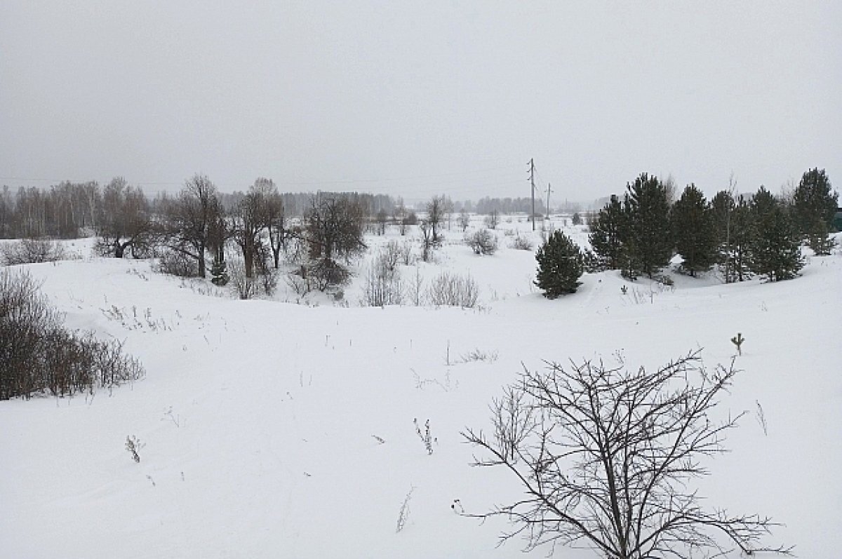    О погоде в Свердловской области на неделю рассказали в Уралгидрометцентре