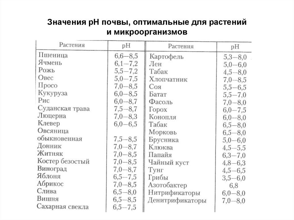 На протяжении многих лет наши коллеги из ландшафтной отрасли изучали и практиковали посадку разных сортов винограда у клиентов.-23