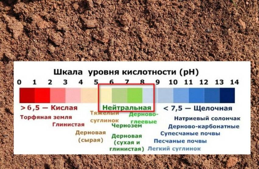 Кислотность известняка