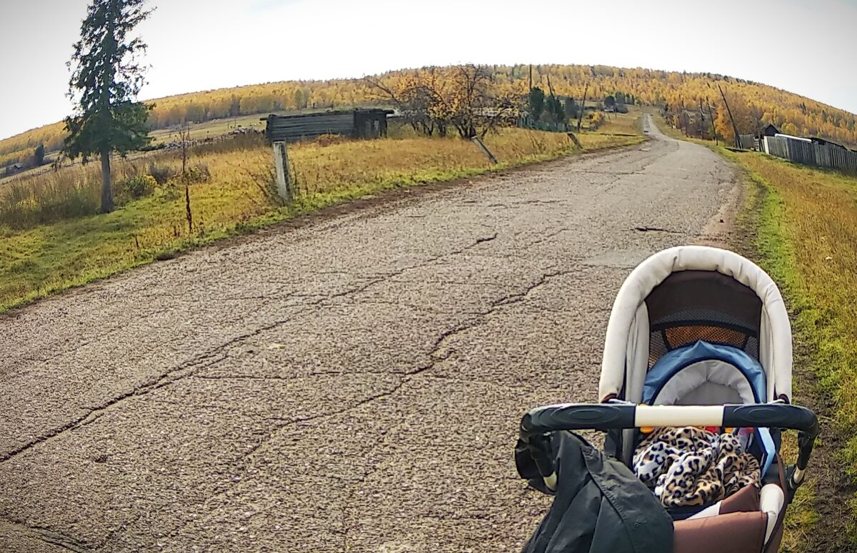 мы из деревни родом. гармонь в деревне разбор. малый имбеж красноярский край. мы родом из деревни картинки. а мы и не скрываем что из деревни родом.