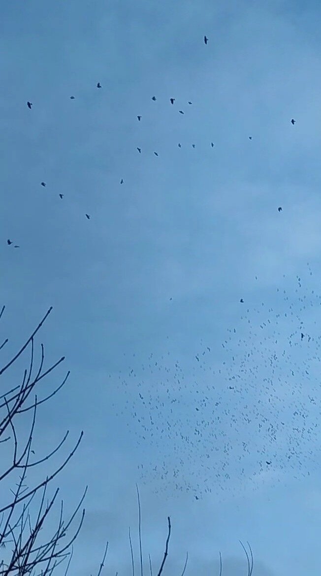 Телефон не передаёт жуть от воронки из ворОн. Что значит - не надо сегодня пользоваться телефоном. 😄 Фото автора.