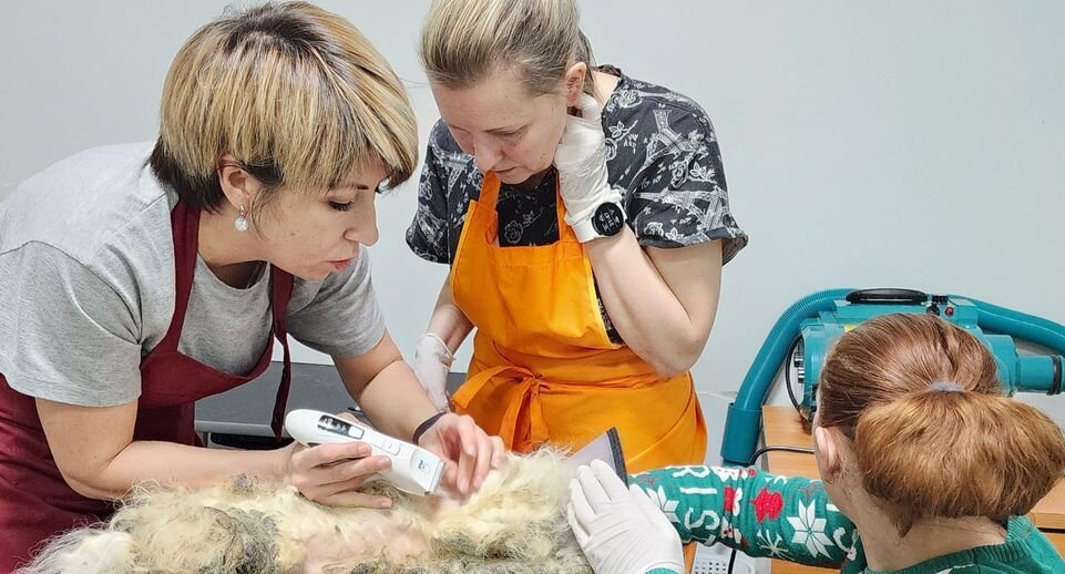 Листайте вправо, чтобы увидеть больше изображений