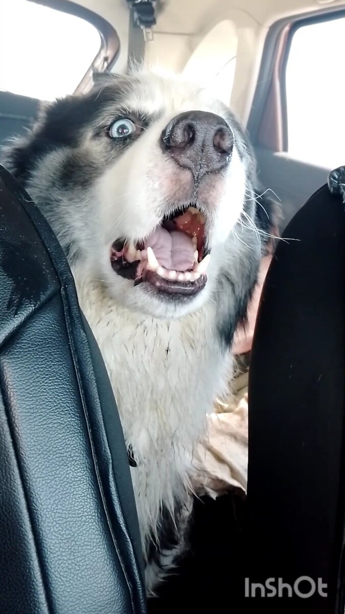 Отстаньте от нас! 