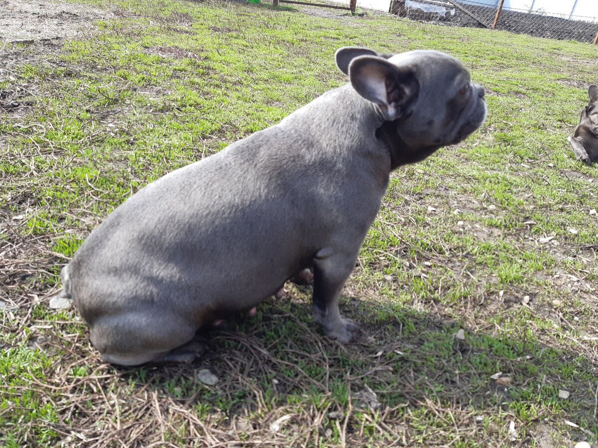 Фигуристая😊