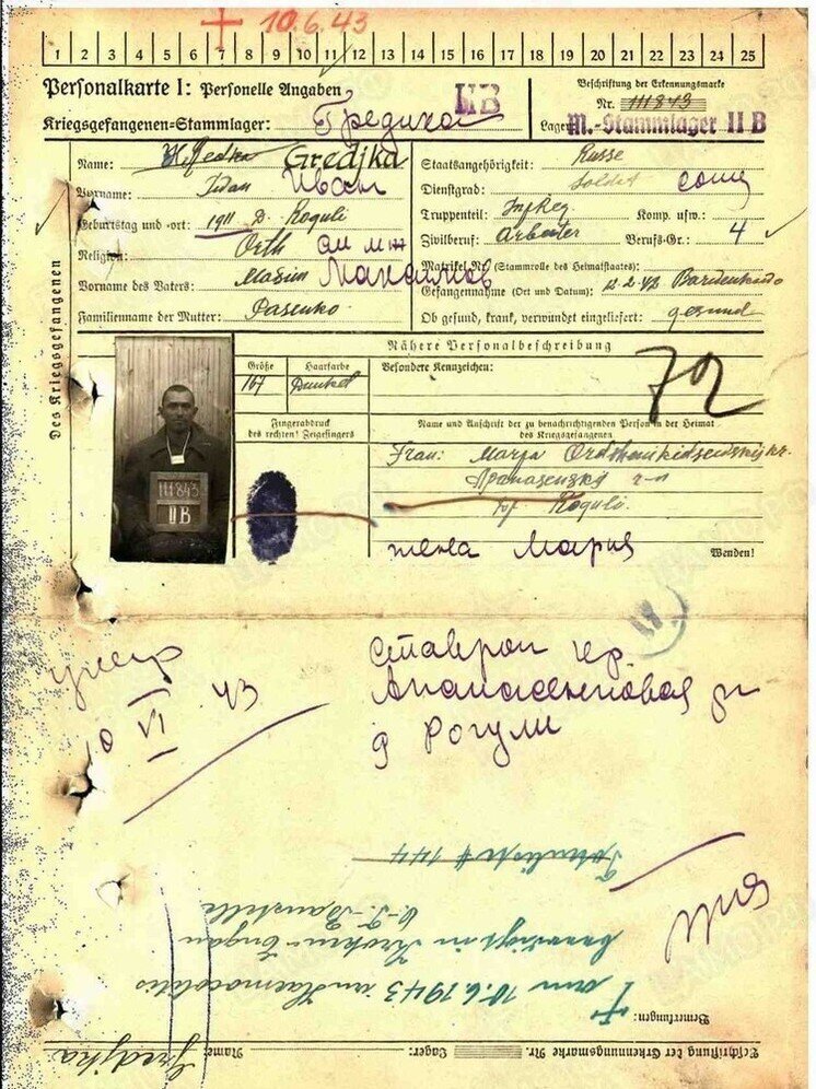 Как найти родственников по фамилии бесплатно без регистрации. Найти захоронение на кладбище по фамилии. Как найти захоронение. Поиск родственников. Место захоронения по фамилии.