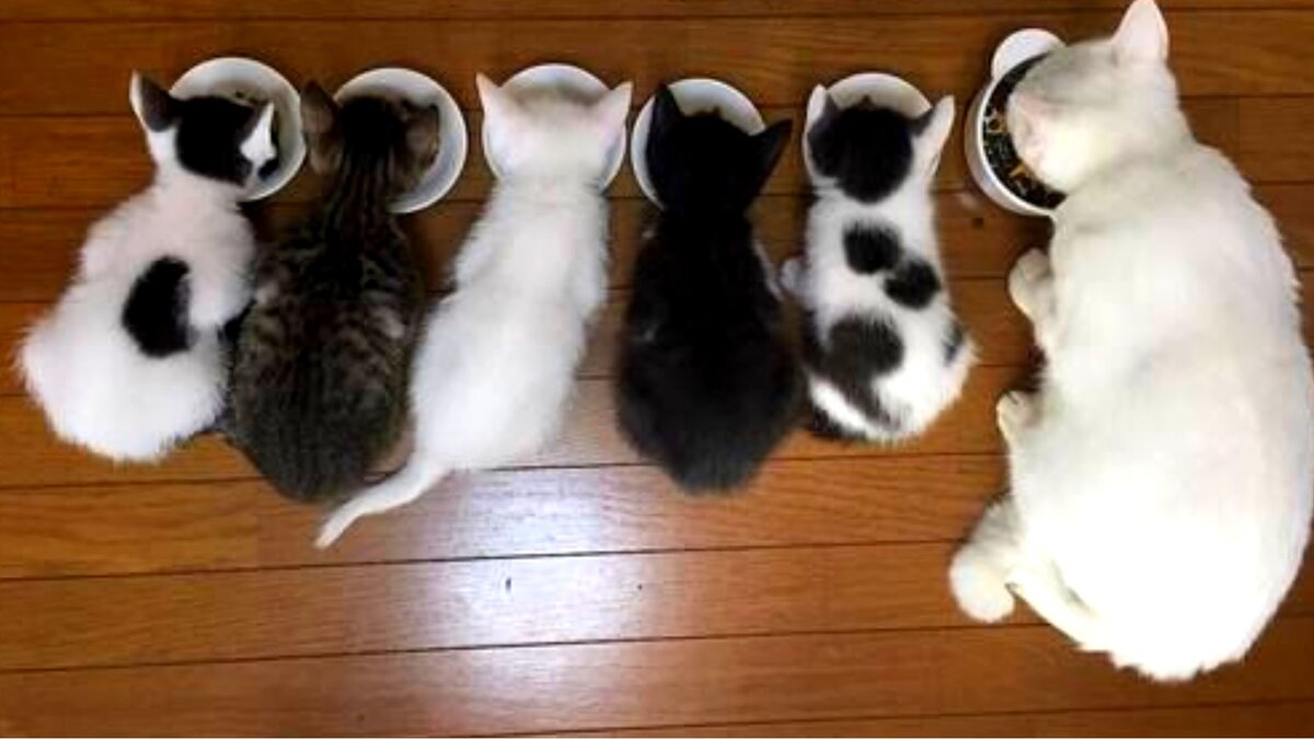 правда жизни. я не знаю. мем где я. фразы про характер женщины. не знаешь кто я характер.