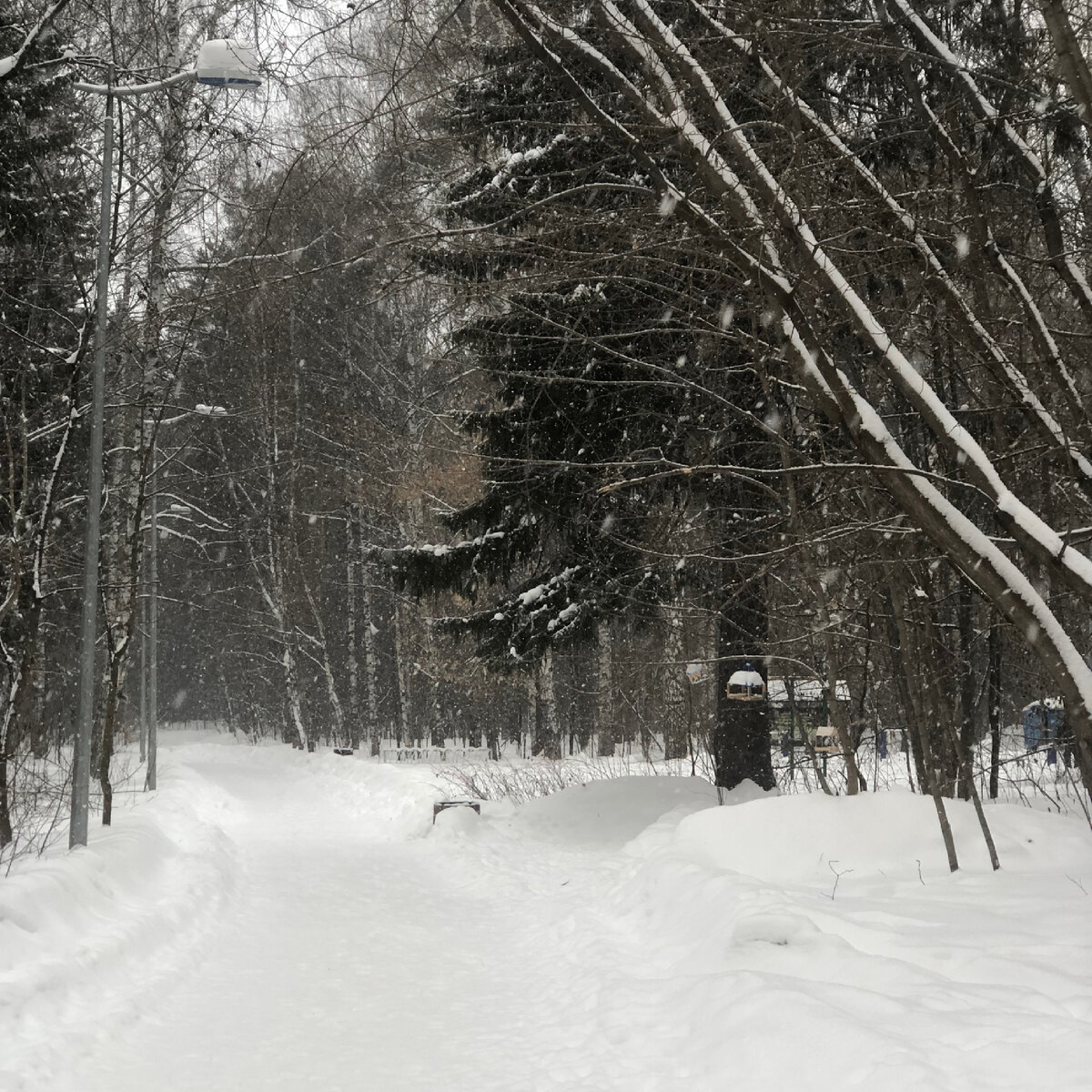 Парк будним утром