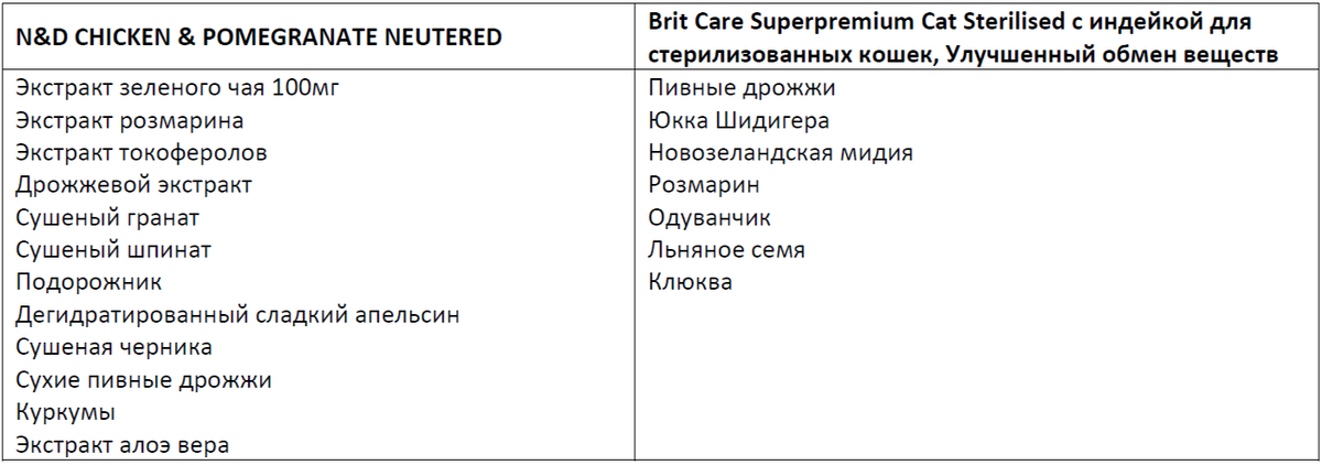 Прочитайте слова. Солнце однокоренные слова 3 класс. Сравни слова что в них общего. Сравни слова что в них общего. Признаки родственных слов.