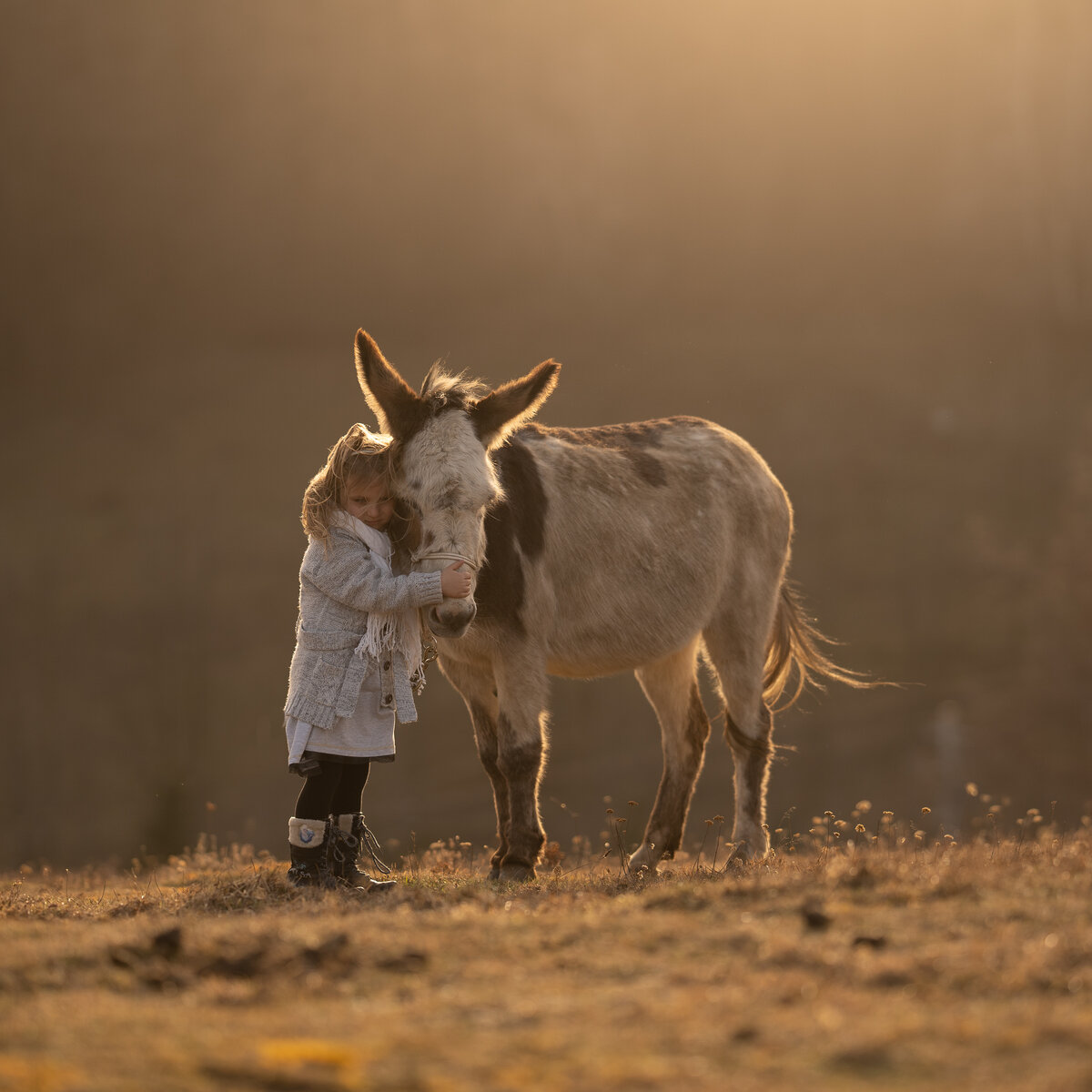 Радость живопись. Детство детство это свет и радость. Художник дональд золан картины детей. Детство это радость минус. Детство детство это свет и радость.