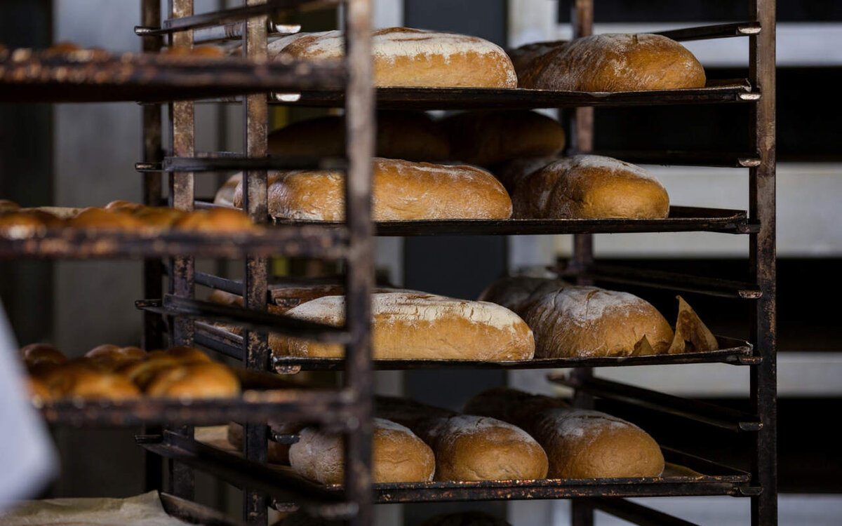    Убыточный старооскольский хлебокомбинат уходит в банкротство Фото с сайта ru.freepik.com