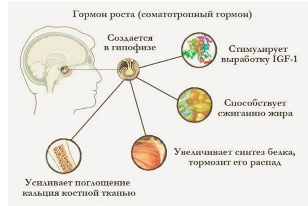Скрин из свободных источников