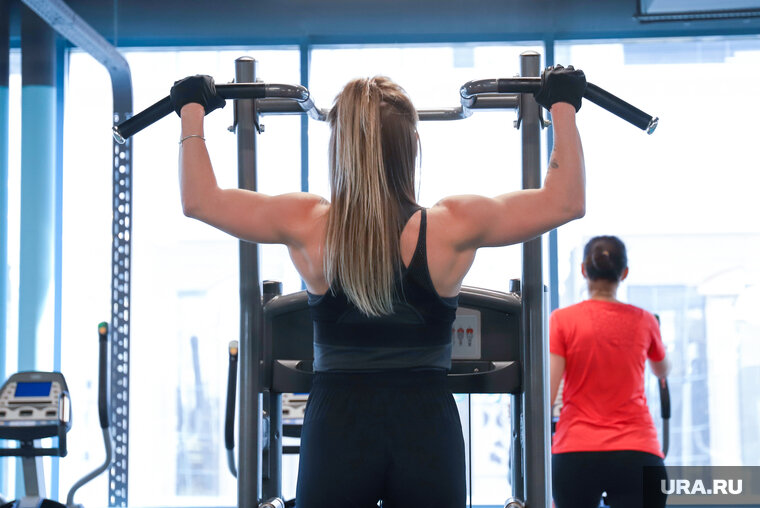 Тренировка в зале стоимость