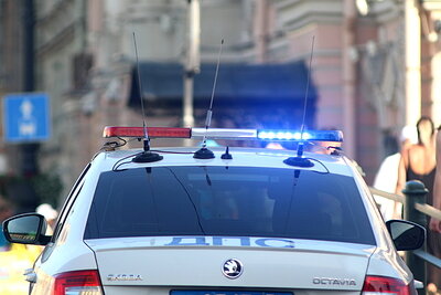    Фото: Maksim Konstantinov/globallookpress