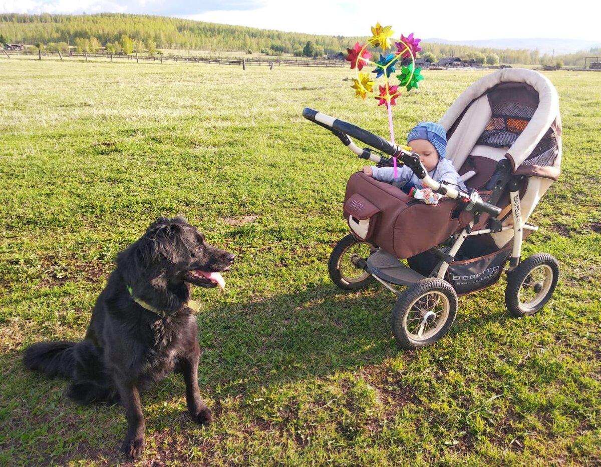 Июнь у нас - еще не лето. Прогулка в полях