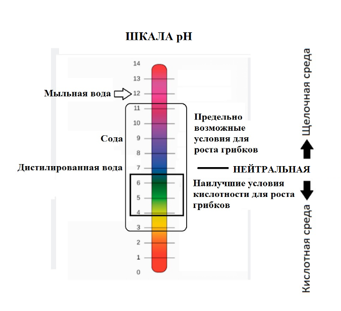 Рисунок 1 — шкала кислотности