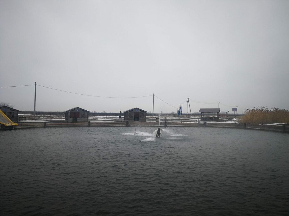 Облагорожено, конечно, громко сказано, но кое-что сделано.