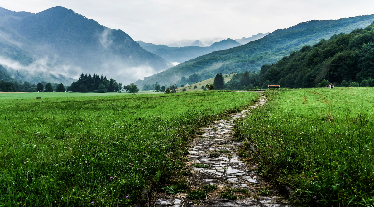 https://unsplash.com/photos/gray-and-white-pathway-between-green-plants-on-vast-valley-lu15z1m_KfM