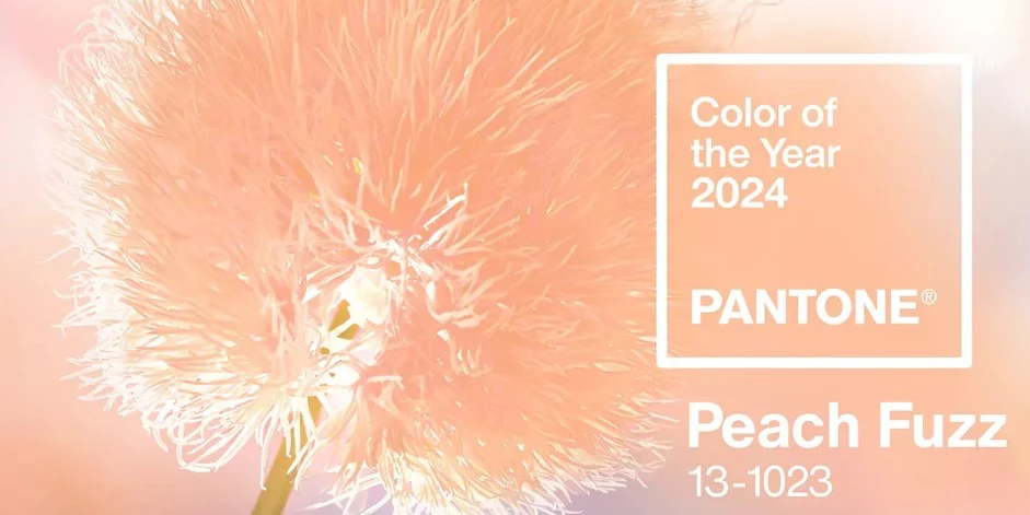 PANTONE ® USA Color of the Year 2025 - Pantone Peach Fuzz Peach fuzz, Color of t