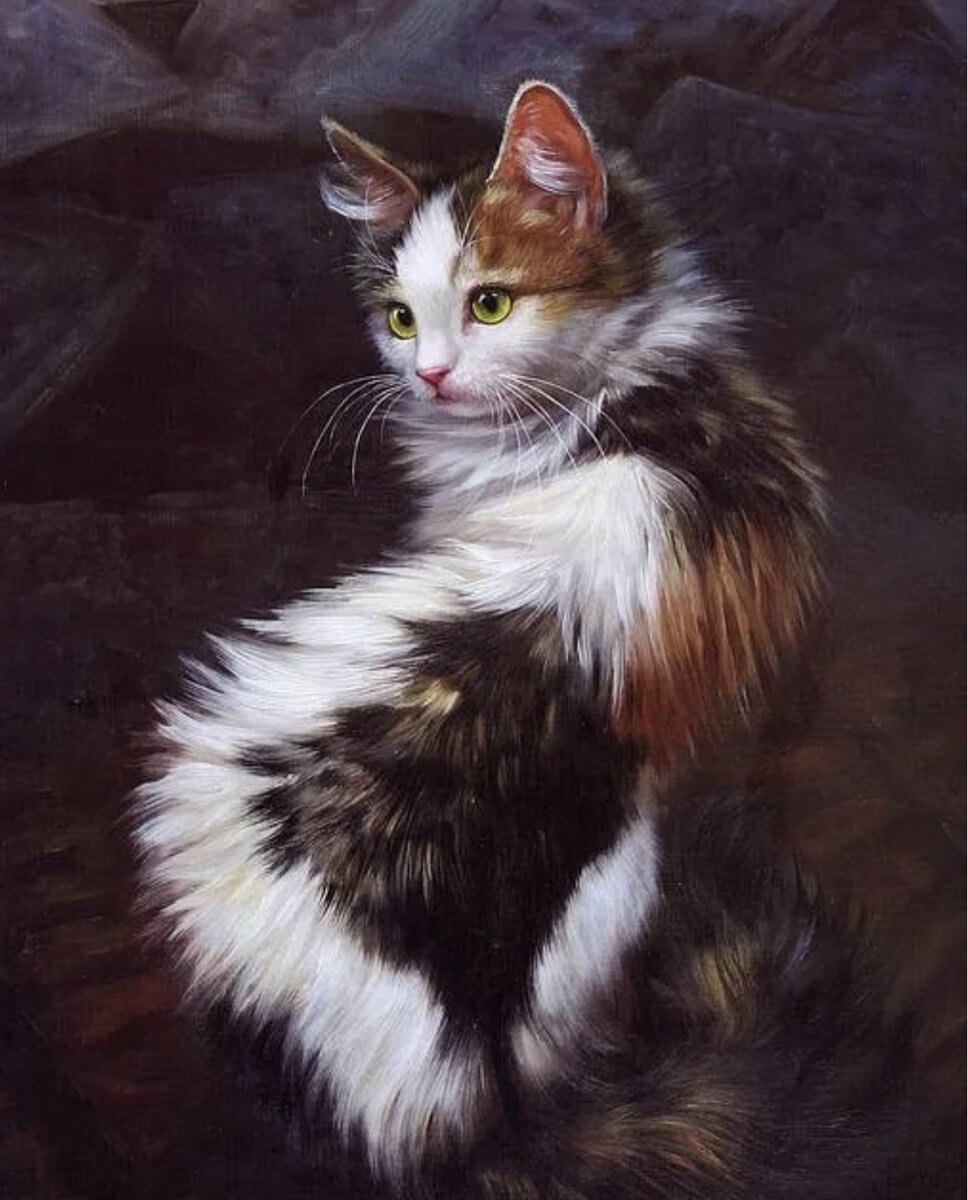 Взято из открытых источников интернета. 