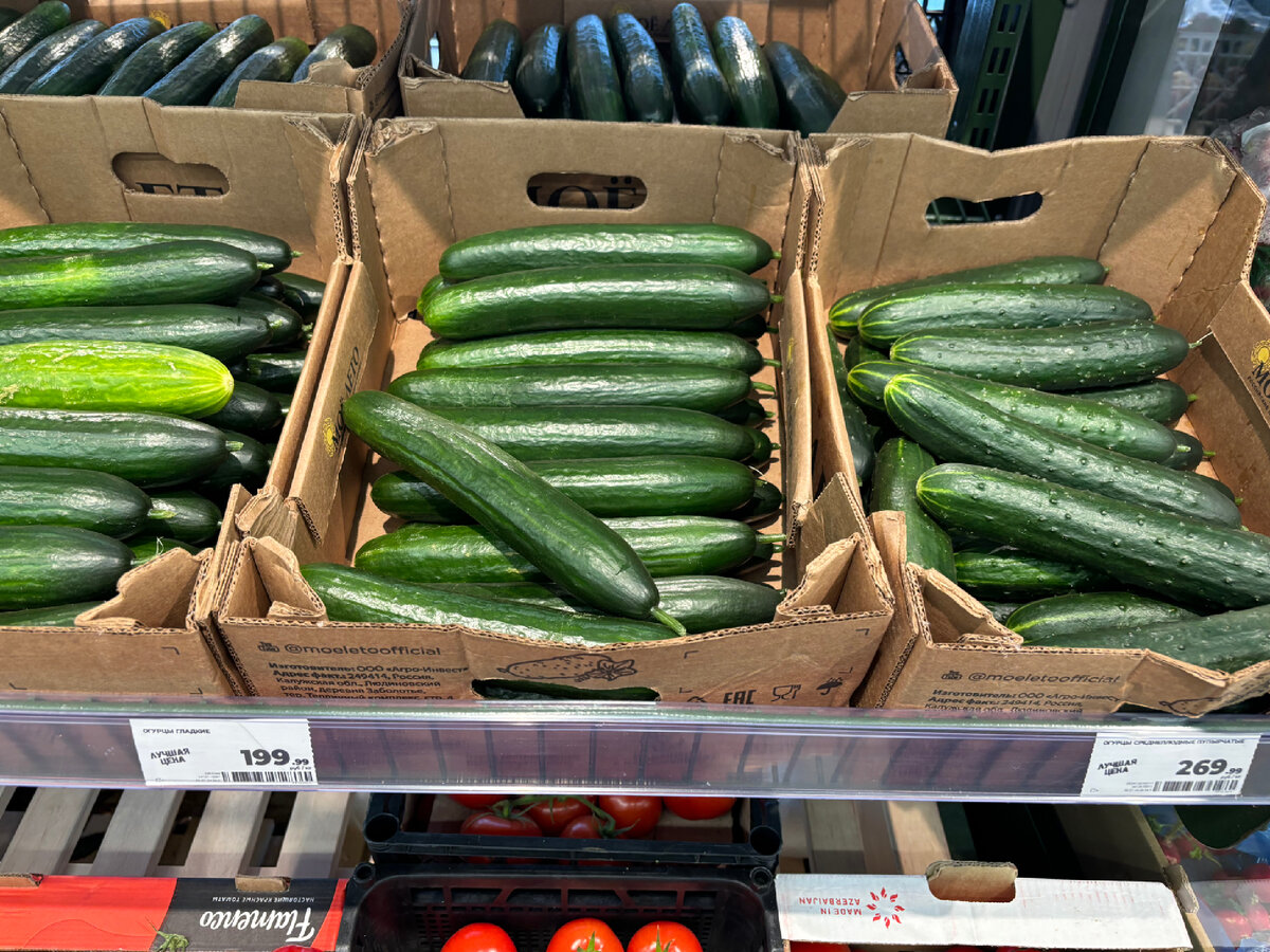 Магнит экстра тюмень. Скидки кэшбэк. Магнит косметик 2023. Магнит у дома каталог. Игрушки на магнитах.