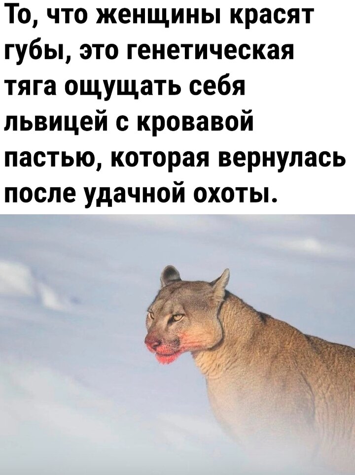 обозначенную частями 5 и 6. увуая часть круга закрашена. пыльник тычиночная нить рыльце. запасные питательные вещества находятся в семени фасоли. формула цветка.