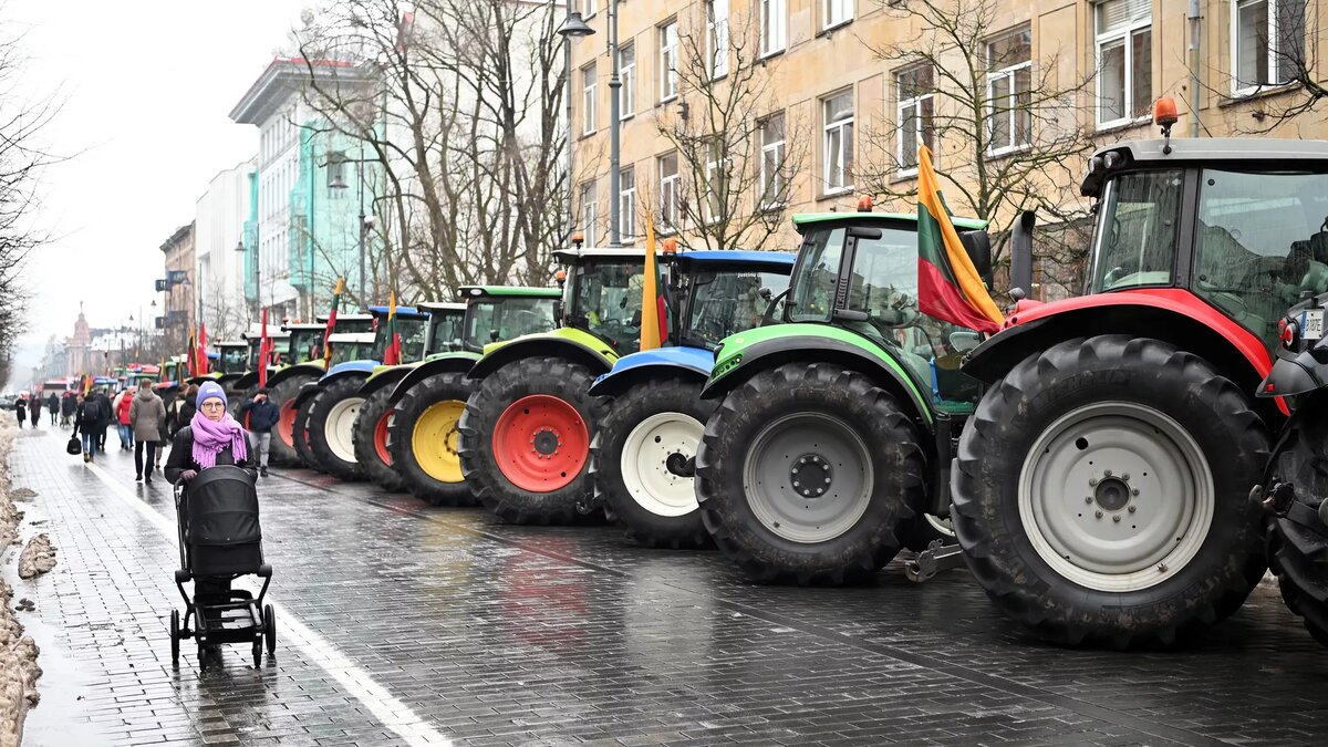 © Sputnik / Владислав Адамовский